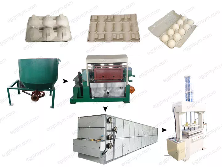 Egg carton production line丨paper egg tray production line