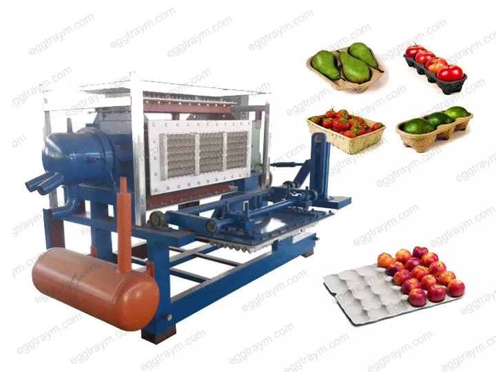 Fruit tray making machine丨apple tray making machine