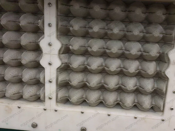 Egg carton production line