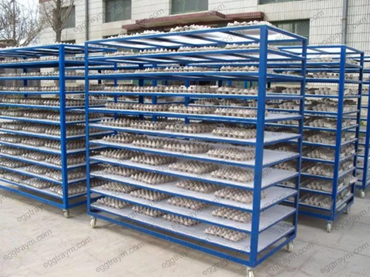 Manual drying in  the egg tray production line