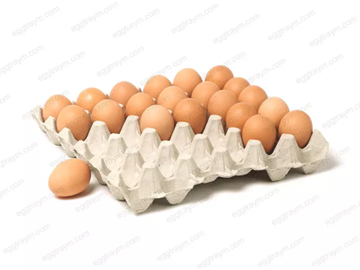 Paper egg tray making machine for eggs