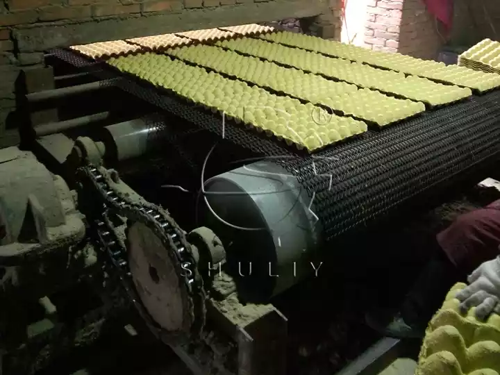 Paper egg carton molding machine production